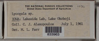 Image Associated With the Occurence